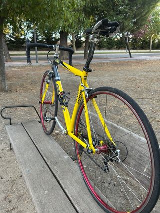 Bicicleta Giant TCR Equipo Once