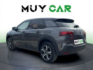Citroen C4 Cactus BlueHDi 100 S&S C-Series 75 kW (102 CV)
