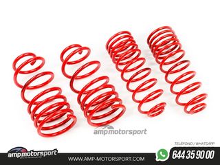 MUELLES DEPORTIVOS MTS TECHNIK MTSXPE142