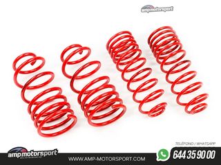 MUELLES DEPORTIVOS MTS TECHNIK MTSXHY053