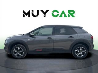 Citroen C4 Cactus BlueHDi 100 S&S C-Series 75 kW (102 CV)