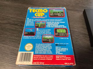 Tecmo Cup Football NES