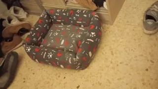 Cama para perros diseño huellas y huesos