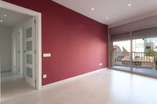 Pintores profesionales de lunes a domingo