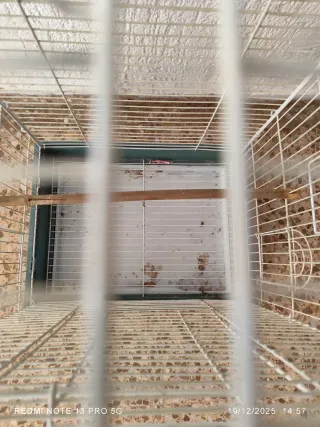 Jaula grande blanca con varias puertas