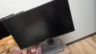 ASUS ROG Swift PG278QR