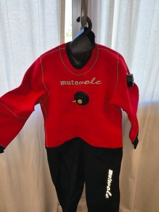 Muta stagna sub mutevole rossa e nera