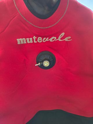 Muta stagna sub mutevole rossa e nera