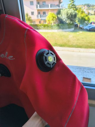 Muta stagna sub mutevole rossa e nera