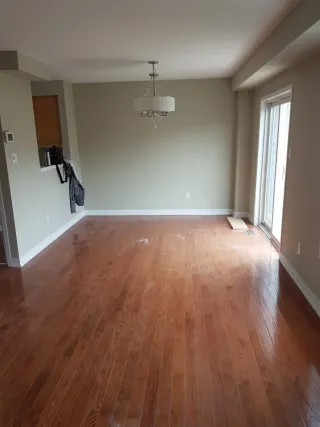 Equipo de pintores profesionales