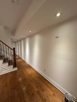 Equipo de pintores profesionales