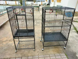 Jaulas para loros grandes