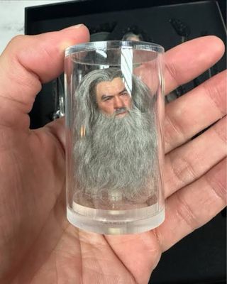 Figura Acción Hell Cat Wizard (Gandalf)