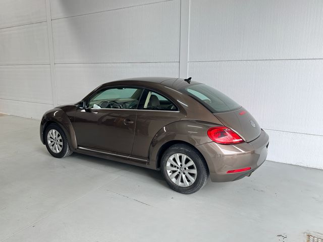 Volkswagen Beetle 1.2 TSI 105cv Design