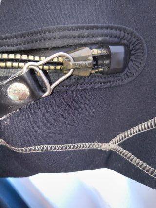 Muta semistagna nera