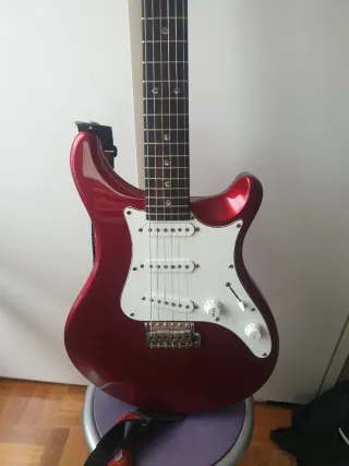 Guitarra PRS SE EG