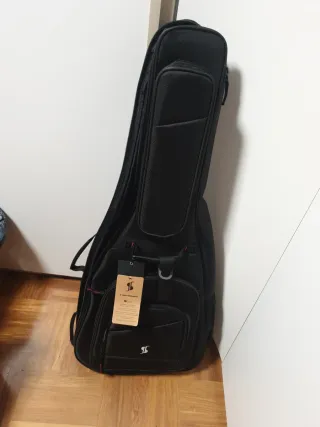 Guitarra PRS SE EG