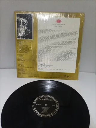 Vinilo The Suicide Kings Teenage Disaster