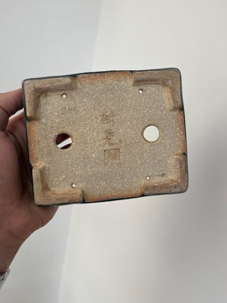 Maceta Koyo 15cm x 12cm x 4.5cm