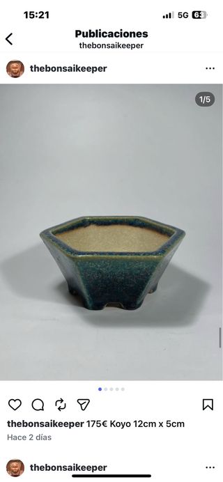 Maceta bonsái Koyo 12cm x 5cm