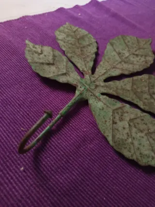 Hoja forjada antigua