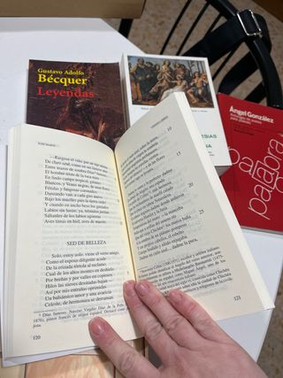 Libros literatura española