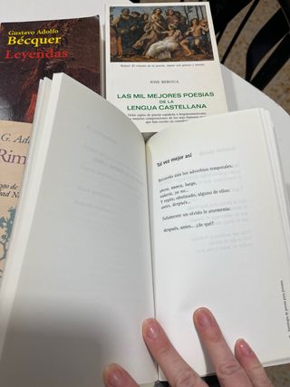 Libros literatura española