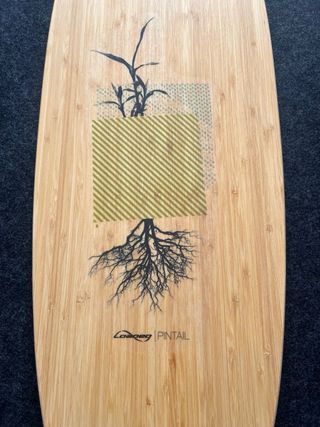 Loaded Pintail Longboard