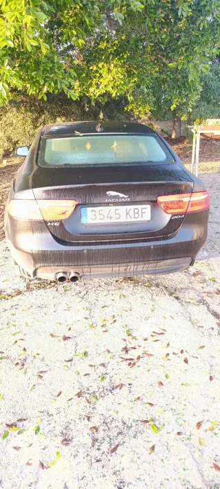 Jaguar XE 2018