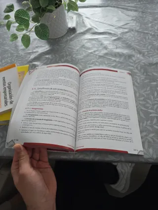 Protocolo empresarial