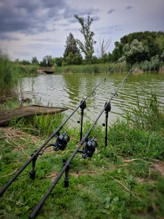 2 Cañas Sonik Dominator 10ft 3lbs