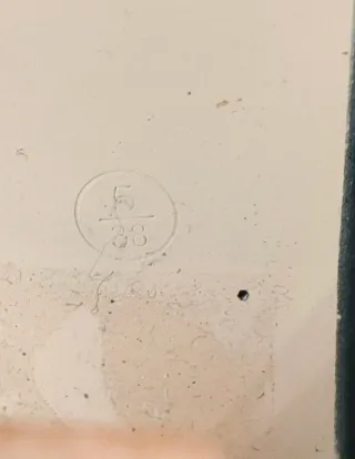 Botines de plataforma negros con cordones