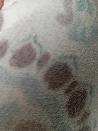 Capazo Bugaboo Fox 2