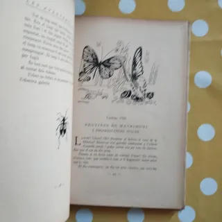 Les aventures de Polzet Claude Roen Proa 1929