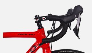 Pinarello Angliru Carbon+ Disk + 105