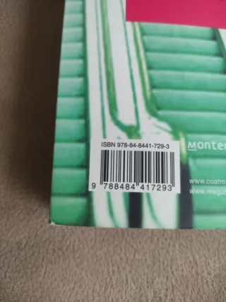 Cuatro almas. Libro 3. Summer (Cuatro Almas / B...