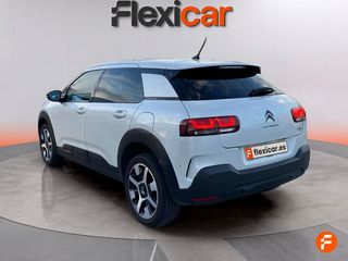 Citroën C4 Cactus PureTech 81KW (110CV) S&S Shine