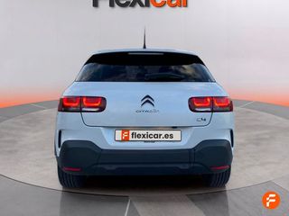 Citroën C4 Cactus PureTech 81KW (110CV) S&S Shine
