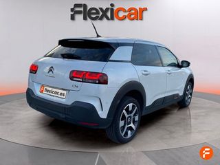 Citroën C4 Cactus PureTech 81KW (110CV) S&S Shine