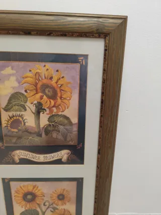 Cuadro de girasoles Sunflower Growers