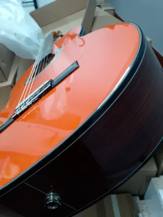 Guitarra Flamenca Autoamplificada