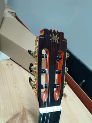 Guitarra Flamenca Autoamplificada