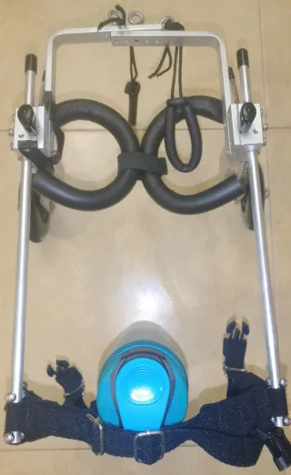 Silla de ruedas para perro pequeño + correa