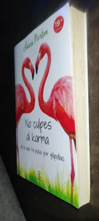 No culpes al karma de lo que te pasa por gilipo...