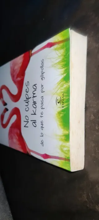 No culpes al karma de lo que te pasa por gilipo...