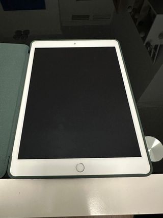 Apple iPad 7ª Gen Gris