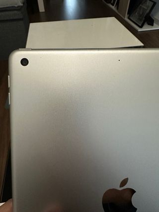 Apple iPad 7ª Gen Gris