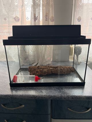 Terrario/Acuario Negro y Transparente