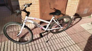 Bicicleta da montagna 26 Indur