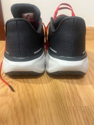 Nike Zoom Pegasus 41 Negro/Rojo